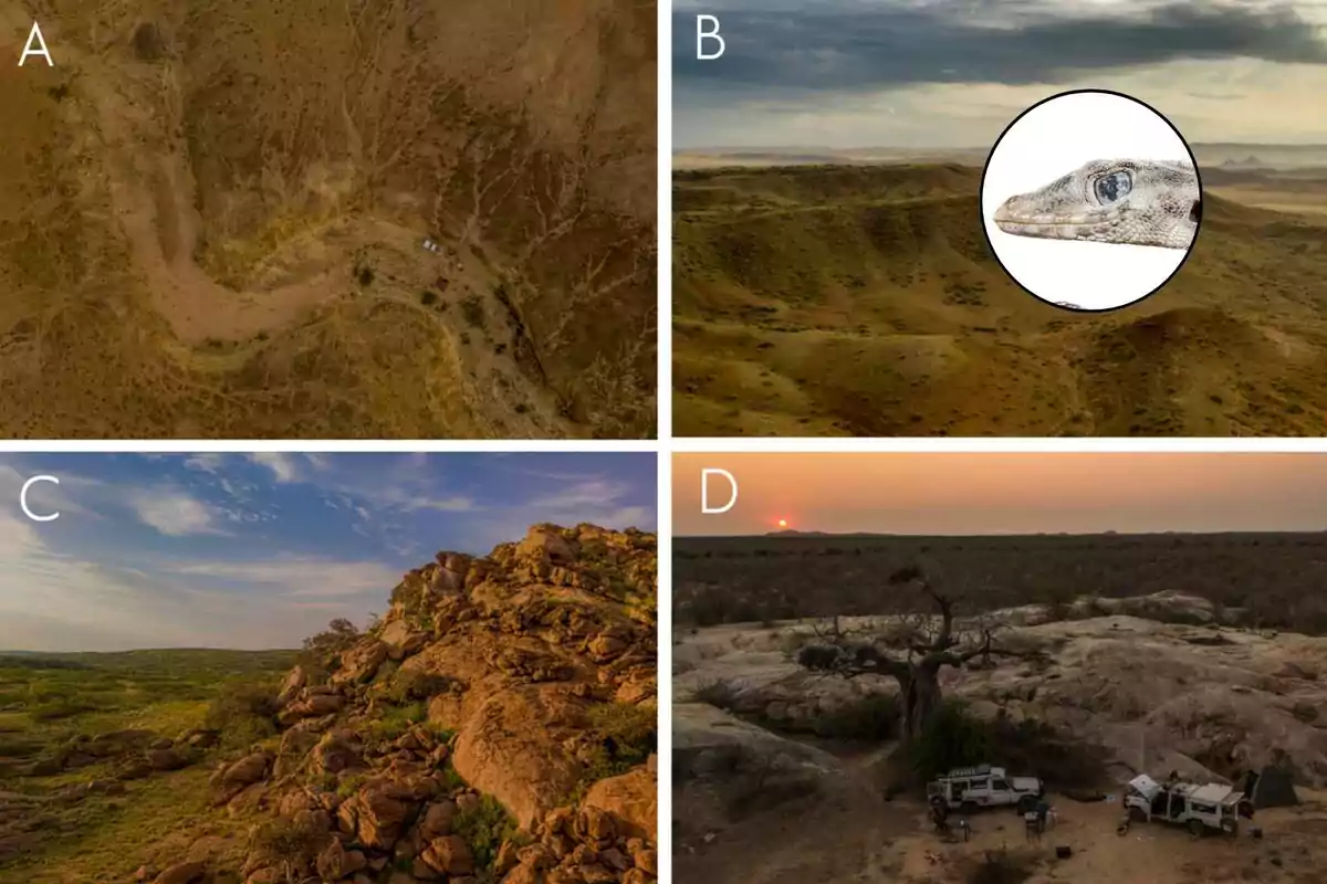 Four photographs show arid, rocky landscapes labeled A, B, C, and D, including an aerial view of a valley, a hill with a circle highlighting a reptile’s head, a rock formation, and a campsite at sunset.