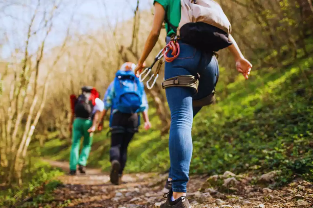 People walking along a trail in the forest with backpacks and climbing gear
