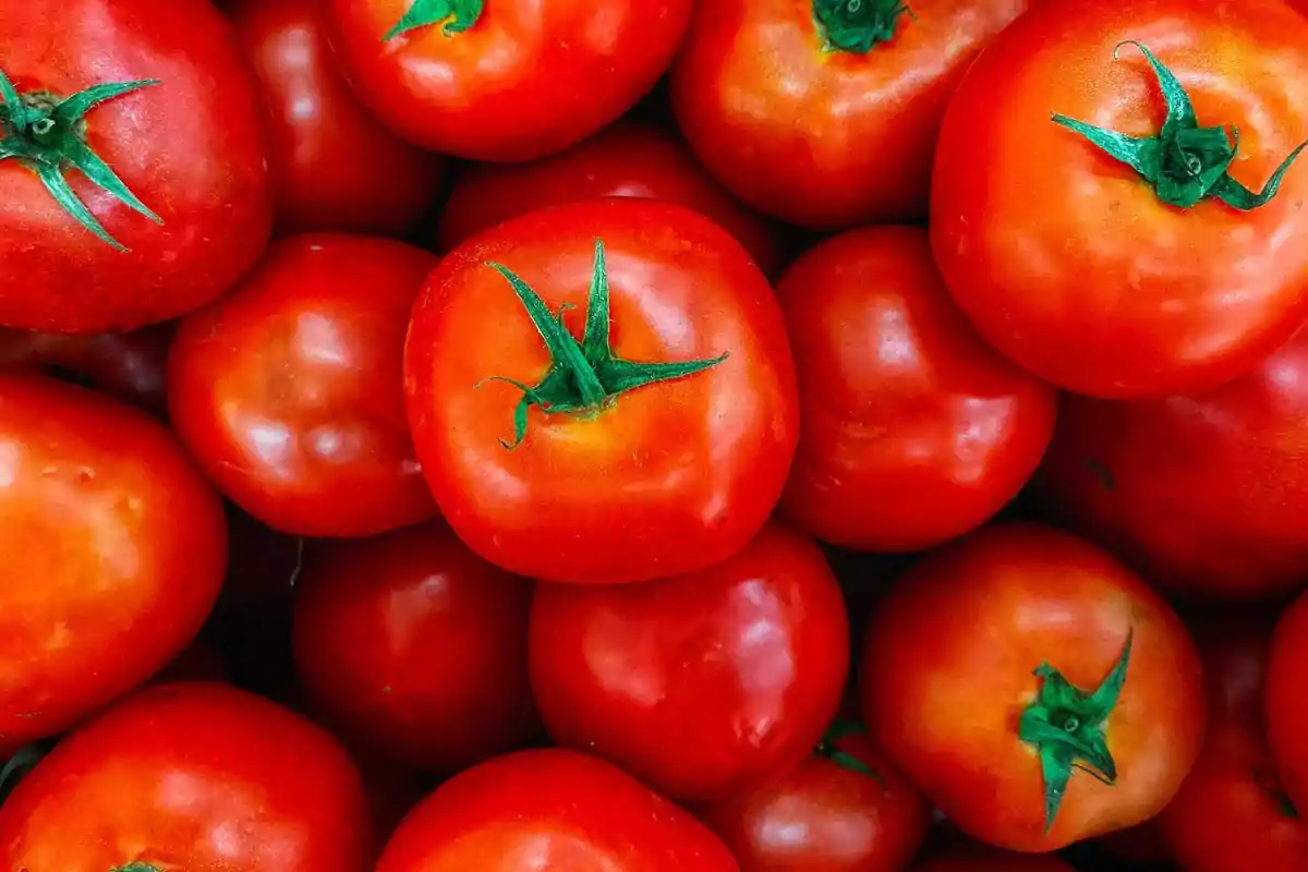 Several fresh red tomatoes stacked on top of each other
