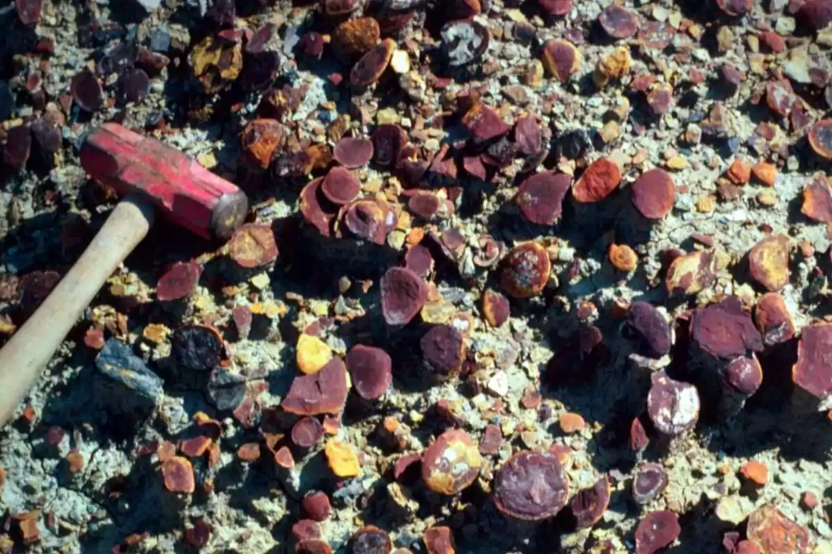 Geological hammer on a ground covered with iron nodules of different sizes and reddish hues